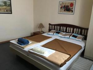 Postel nebo postele na pokoji v ubytování Apartment Pero