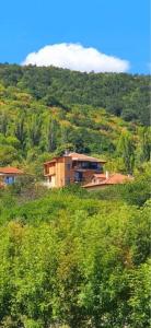 オブゾルにあるGuest House Vyaraの緑豊かな丘の上に座る家