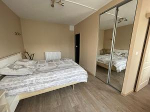 ein Schlafzimmer mit einem großen Bett und einem Spiegel in der Unterkunft Appartement 42 m2 à Vittel proche Thermes-SPA in Vittel