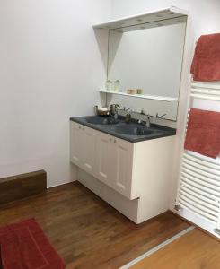 a bathroom with a sink and a mirror at Agréable maison de bourg aux portes de TOURS in Semblançay