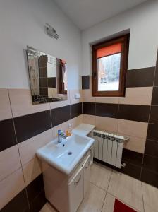 ein Bad mit einem Waschbecken und einem Spiegel in der Unterkunft Domek Karkonosze in Wojcieszyce