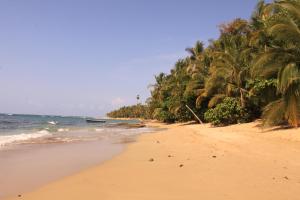 ชายหาดของลอดจ์หรือชายหาดที่อยู่ใกล้ ๆ