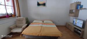 Un televizor și/sau centru de divertisment la Apartmaji Boštjan Pristavec