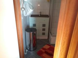 Baño pequeño con lavabo y cubo de basura en Europaplatz, en Aachen 17 fotos más