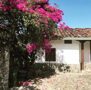 un árbol con flores rosas delante de una casa en Casa Santamaria Hotel Campestre en Jericó