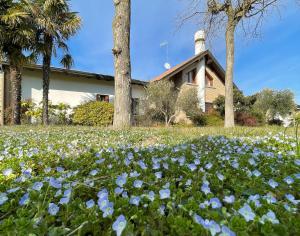 Zahrada ubytování Villa Marinella Apartments - Locazione Turistica