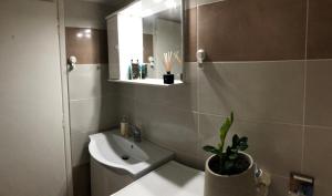 łazienka z umywalką i doniczkową rośliną w obiekcie Cosy apartment in Metaxourgeio w Atenach