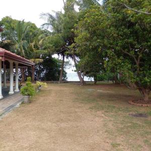 a yard with trees and the ocean in the background at Joy Lagoon Residence in Negombo