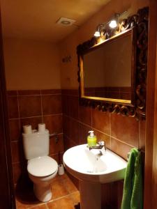 ein Badezimmer mit einem WC, einem Waschbecken und einem Spiegel in der Unterkunft Casa el Sereno in Salas Bajas