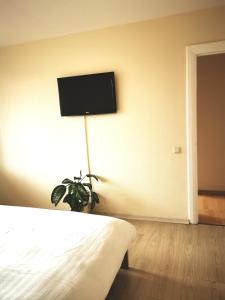 TV a/nebo společenská místnost v ubytování Amber apartment