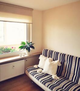 Posezení v ubytování Amber apartment
