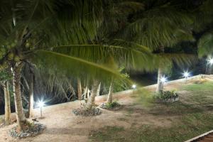 a row of palm trees at night with lights at Joy Lagoon Residence in Negombo