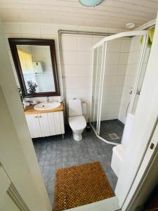een badkamer met een toilet, een wastafel en een spiegel bij Pollin Piha in Töfsala