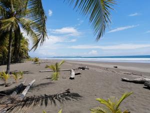 a person standing on a beach with palm trees at chambre indépendante chez l'habitant in Parrita
