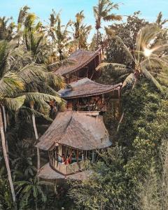 - une vue sur un bâtiment avec des palmiers dans l'établissement Ananda House 3bds Eco Bamboo House Pool River View, à Bringkit