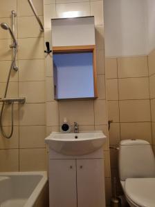 a bathroom with a sink and a toilet and a mirror at Warsaw strict center, WiFi, AC, next to central railway station, Złote Tarasy, PKiN, Warszawa ścisłe centrum in Warsaw