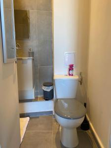 La petite salle de bains est pourvue d'une douche et de toilettes. dans l'établissement Le Petit Cerf 3 / Proche Disney / Paris / Wifi, à Meaux
