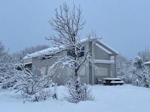 uma casa coberta de neve com uma árvore em frente em על גג העולם -צפון הגולן em Merom Golan