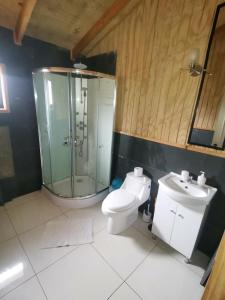 uma casa de banho com um chuveiro, um WC e um lavatório. em Cabañas Altos de la Chacra en Castro, 3 dormitorios em Castro