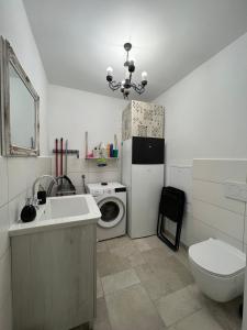 a bathroom with a sink and a refrigerator and a washing machine at Hisa STERNA - WELL HOUSE in Zgornje Škofije