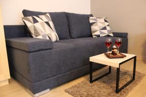 um sofá azul com uma mesa e dois copos de vinho em Willa Pod Zielonym Wierchem em Zakopane