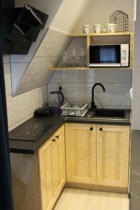 a small kitchen with a sink and a microwave at Willa Pod Zielonym Wierchem in Zakopane
