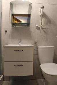 uma casa de banho com um WC, um lavatório e um espelho. em Willa Pod Zielonym Wierchem em Zakopane