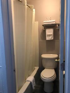 a small bathroom with a toilet and a shower at Budget Inn & Suites in Amarillo +15 photos