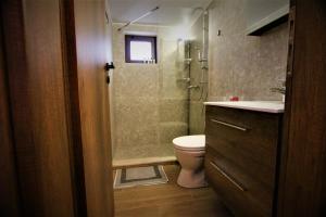 a bathroom with a shower and a toilet and a sink at Evangelia's Little House in Rhodes Town