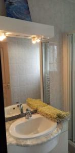La salle de bains est pourvue d'un lavabo et d'un miroir. dans l'établissement En plein cœur de l’Île d'Oléron, suite parentale., à Dolus-d'Oléron