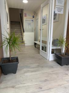 a hallway with two potted plants and a staircase at Pension Valcarce in Ponferrada