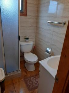 łazienka z toaletą i umywalką w obiekcie Cabañas Costanera w mieście Villarrica
