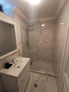 baño blanco con ducha y lavamanos en Erbario House, en Bucarest