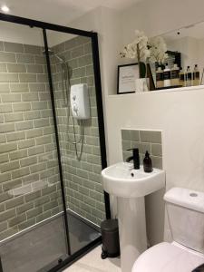 a bathroom with a shower and a sink and a toilet at Greenbank, Lower Greenbank Guest Suite in Oban