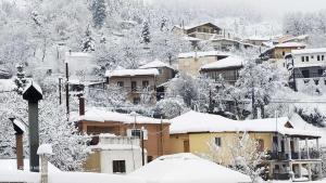 Elena's villa v zime