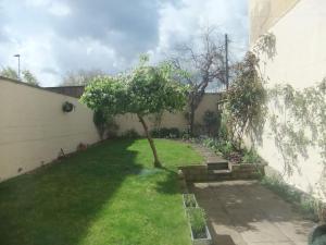 a small tree in the yard of a house at Garden maisonette in Bath city centre in Bath