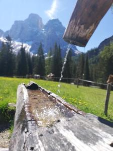 Kép Pelmo Mountain Lodge szállásáról Selva di Cadoréban a galériában