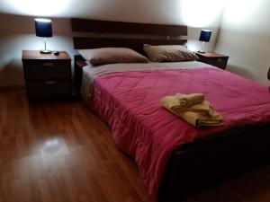 een slaapkamer met een bed met een rode deken en 2 lampen bij luxury lake in Villetta Barrea
