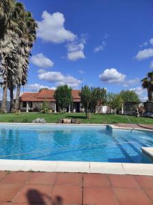 una piscina en un patio con palmeras en Fazenda do Marante, en Tomar