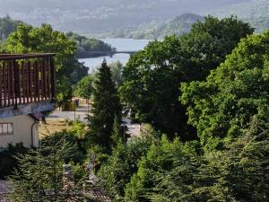 uitzicht op een rivier vanaf een heuvel met bomen bij luxury lake in Villetta Barrea