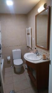 ein Badezimmer mit Toilette, Waschbecken und Spiegel in der Unterkunft Las Margas. Golf. Bici. Esquí. Piscina. in Sabiñánigo