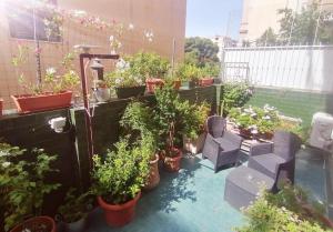een patio met stoelen en potplanten op een balkon bij Hospiton Home in Cagliari