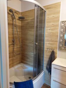 a bathroom with a shower with a tub at AGROTURYSTYKA NAD STAWEM in Lichtenstein Ostpreussen