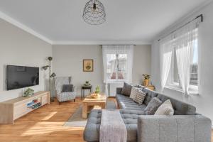 TV a/nebo společenská místnost v ubytování Apartmán U Javorky