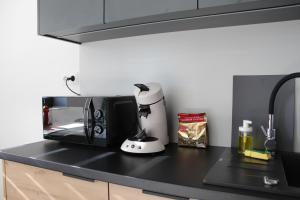 Kuchyň nebo kuchyňský kout v ubytování Apartament Fibra Freddo