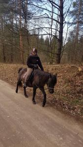 a person riding a horse down a road at AGROTURYSTYKA NAD STAWEM in Lichtenstein Ostpreussen +47 photos