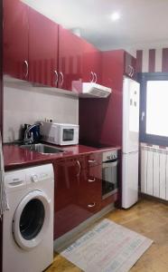 a kitchen with a washing machine and a microwave at JUNTO AL PILAR in Zaragoza