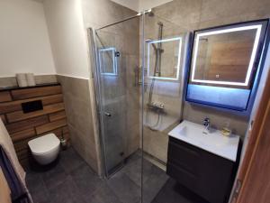 Koupelna v ubytování Apartma Auriga