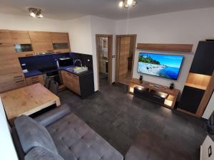 TV a/nebo společenská místnost v ubytování Apartma Auriga