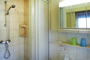 uma casa de banho com um chuveiro e um espelho. em Cottage, Jagdhof em Judenbach